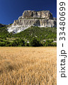 Field of wheat with mountainous backdrop 33480699
