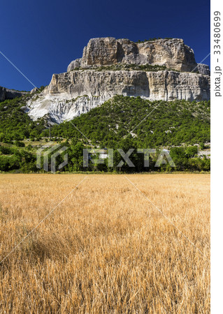 Field of wheat with mountainous backdrop Field of wheat with mountainous backdrop 33480699