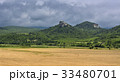 Field of wheat with mountainous backdrop 33480701