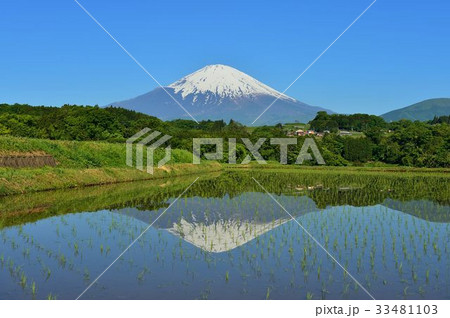 棚田の朝 33481103
