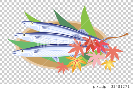 サンマ 秋刀魚 秋の味覚のイラスト素材
