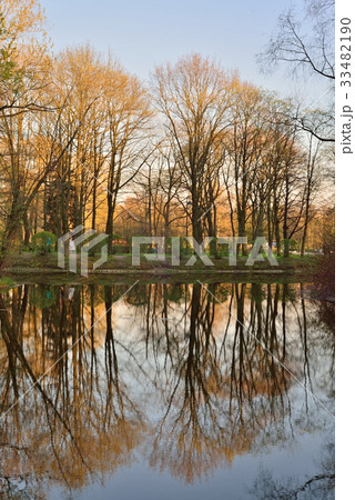 Trees reflected in a pond at sunset in the city 33482190