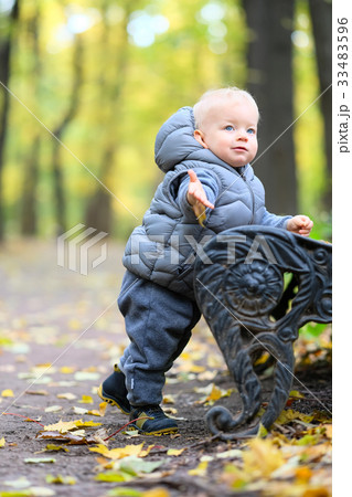 One year old baby boy in autumn park. One year old baby boy in autumn park. 33483596