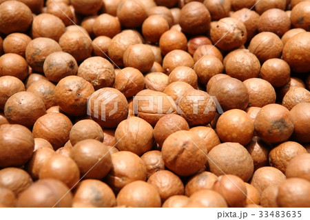 Macadamia Nuts in Guatemala ／　マカダミアナッツ in グアテマラ 33483635