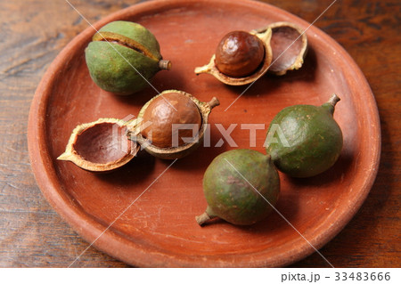 Macadamia Nuts in Guatemala ／　マカダミアナッツ in グアテマラ 33483666