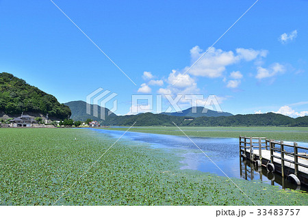 福井・三方五湖、ラムサール条約の湿地帯 福井・三方五湖、ラムサール条約の湿地帯 33483757