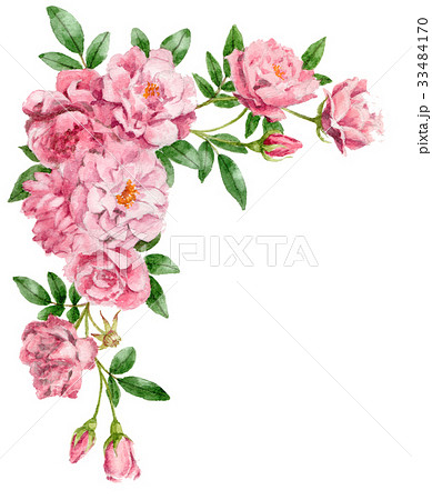 ピンクのバラの上部フレーム素材 33484170