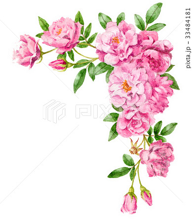 ピンクのバラの上部フレーム素材のイラスト素材