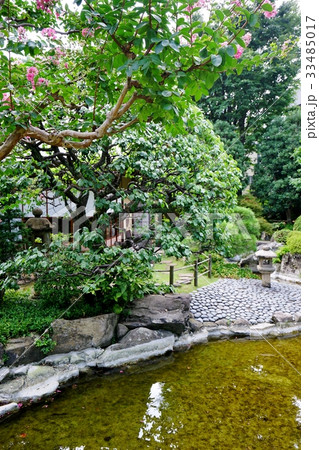 日本庭園 33485017