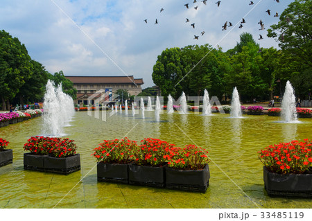 上野公園の噴水広場の花壇と噴水 33485119