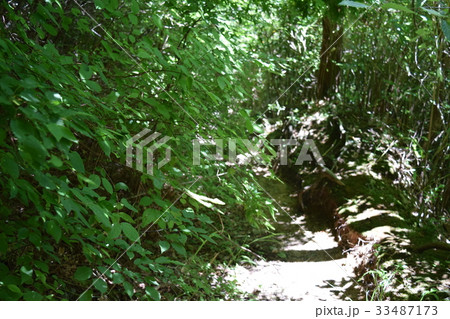 金剛山の登山道 金剛山の登山道 33487173