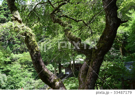 金剛山山頂の建屋 33487179