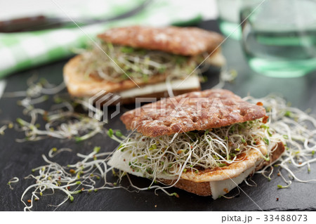 Sandwiches with grilled turkey, cheese, and leek sprouts 33488073