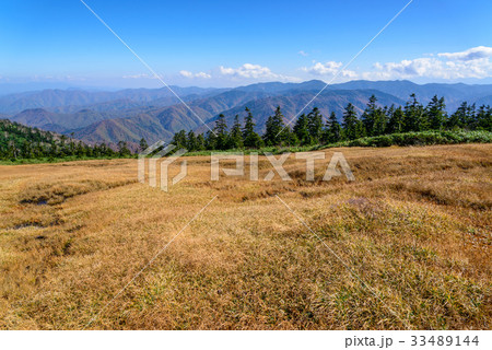 草紅葉の稜線と山並み 草紅葉の稜線と山並み 33489144