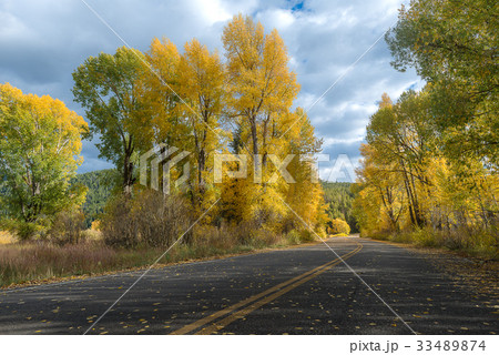 Road during Autumn 33489874