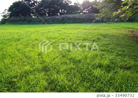 興国寺城(夏) 興国寺城(夏) 33490732