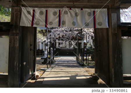 愛蔵寺の護摩桜（二本松市） 33490861