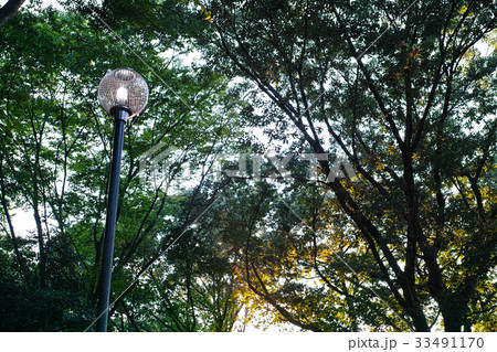 夏　残暑公園イメージ　黄昏 33491170