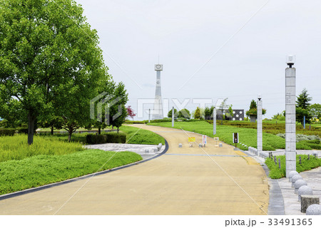 ひまわりの丘公園　（兵庫県小野市） 33491365