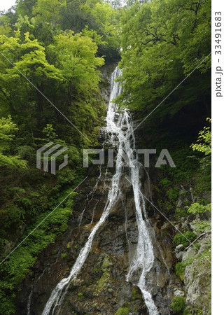 丸神の滝・秩父(埼玉県) 丸神の滝・秩父(埼玉県) 33491683