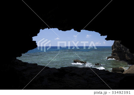 ハミゴー 33492391