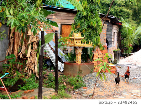 鶏と民家 33492465