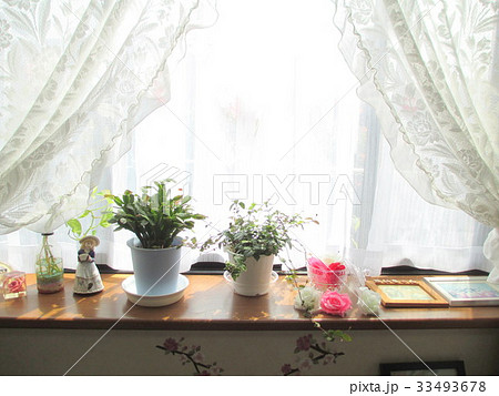 リビングの出窓 観葉植物とバラの置物の写真素材