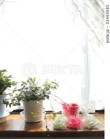 観葉植物とバラの置物 33493685
