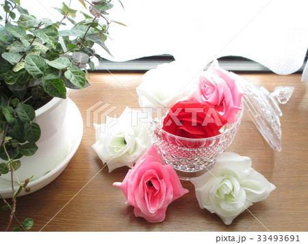 観葉植物ハツユキカズラとフラワーアレンジメント 33493691