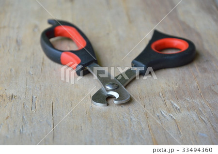 nail cutter for dog and cat on wooden board 33494360