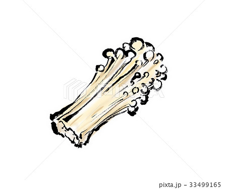 えのきだけ 33499165