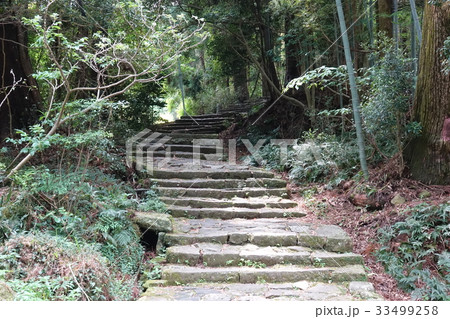 大門坂 熊野古道 大門坂 熊野古道 33499258