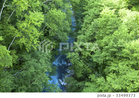 美瑛川 美瑛川 33499373