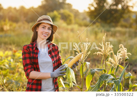happy woman gardener with corn cob happy woman gardener with corn cob 33500322