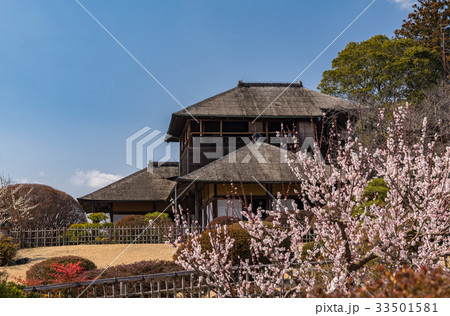 水戸偕楽園の好文亭と梅林 33501581