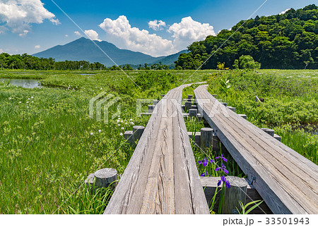 尾瀬ヶ原と燧ケ岳 33501943