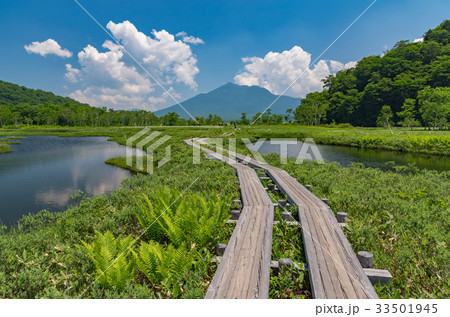 尾瀬ヶ原と燧ケ岳 33501945