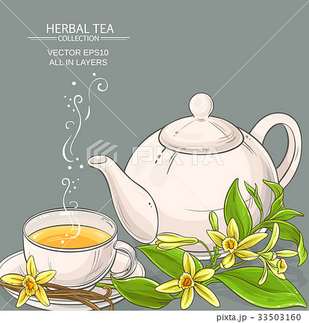 vanilla tea illustration 33503160