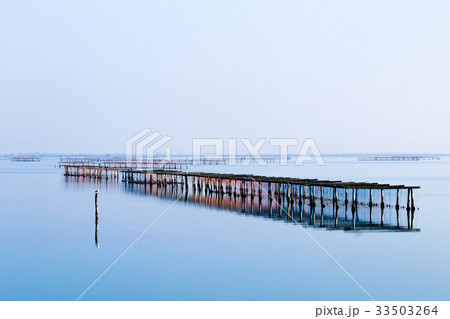 Shellfish farming from Po river lagoon, Italy 33503264