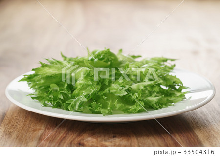 green frillice lettuce on white plate on wooden green frillice lettuce on white plate on wooden 33504316