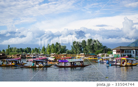 Landscape of Dal Lake in Srinagar, India 33504744