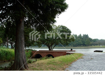 水元公園　 33505442