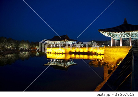雁鴨池 夜景 池 33507618