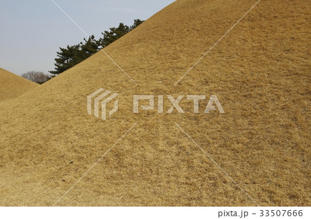 デルングワン 墓 遺跡 33507666