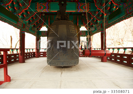 甲寺 節 種 33508071