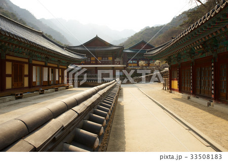 プリンセス ドンハクサ 節 33508183