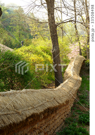 石垣 民俗村 容認民俗村 33508498