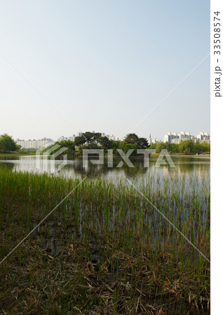 京畿道 キョンギド 一山 33508574