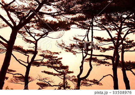 木 海 襄陽郡 33508976