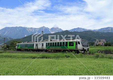 白馬山麓　夏のリゾート列車 33509483